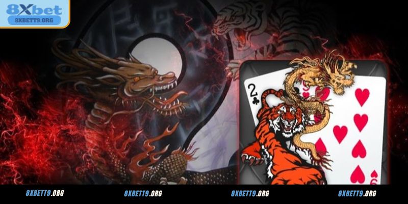 Những điều cần biết khi cá cược Dragon Tiger 8XBET